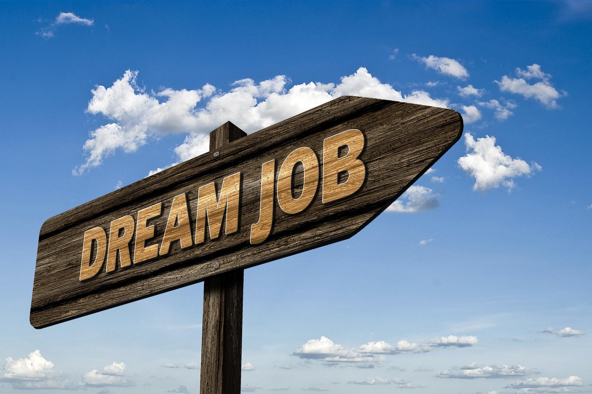 Talentsuche