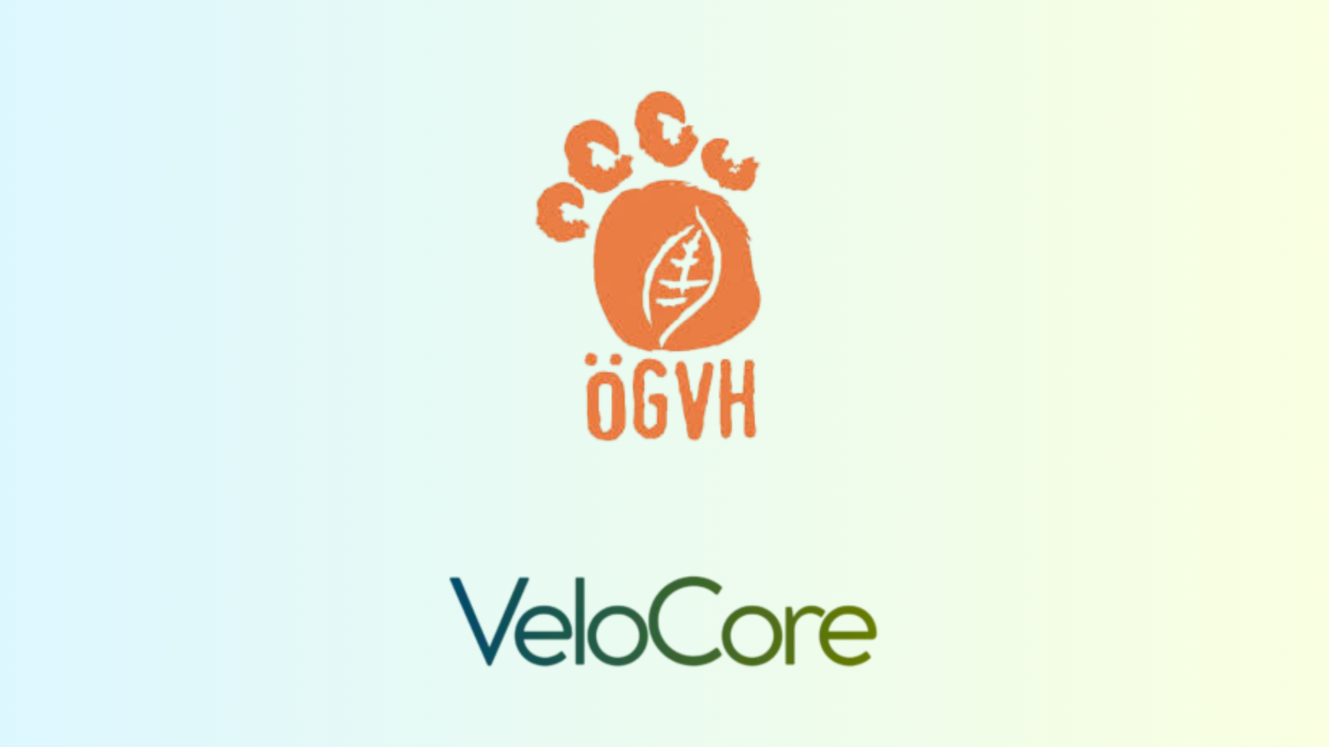 VeloCore in der Praxis: Von träger Performance zur Top-Ladezeit